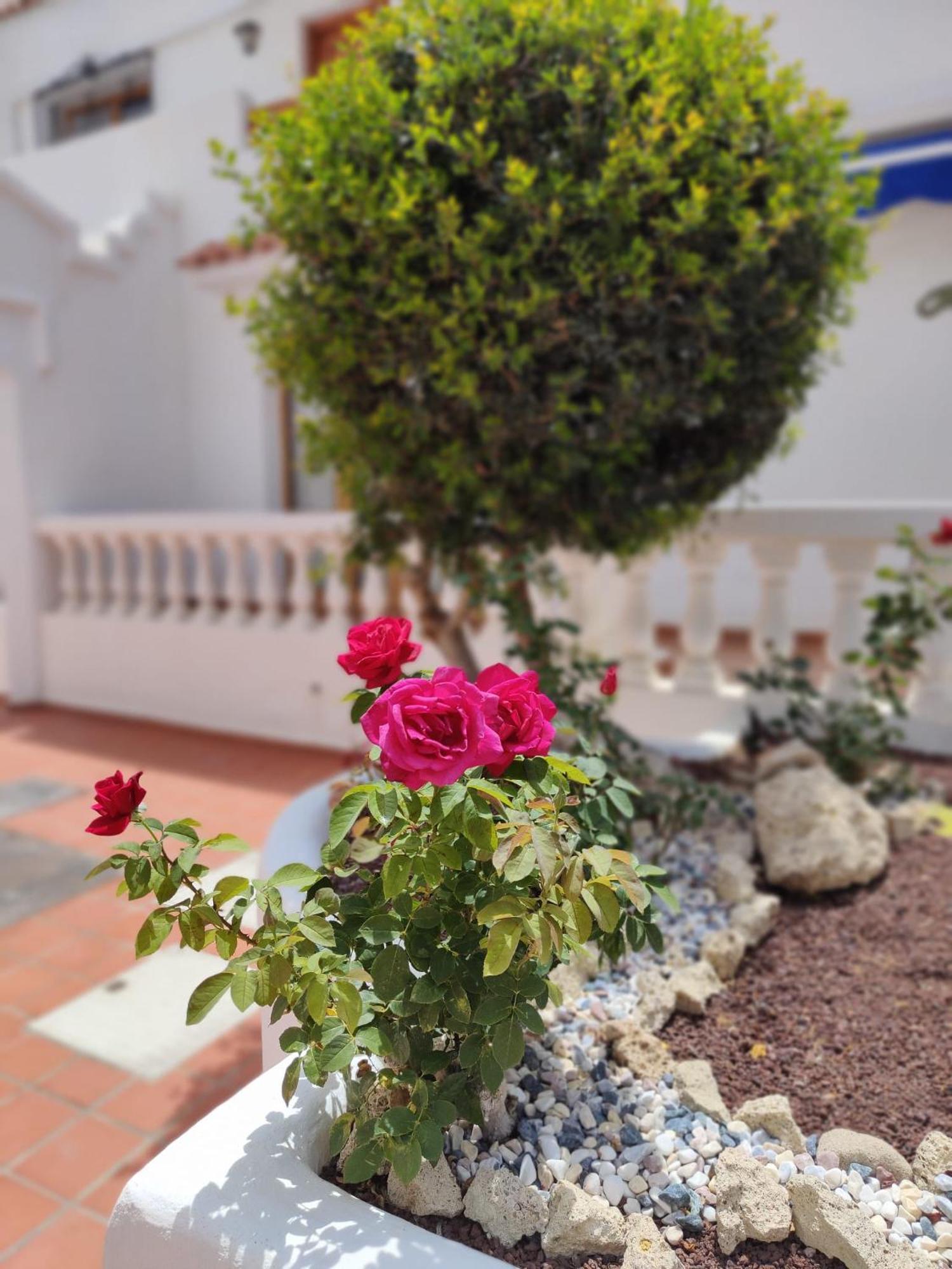 Port Royale Apartment Los Cristianos  Bagian luar foto