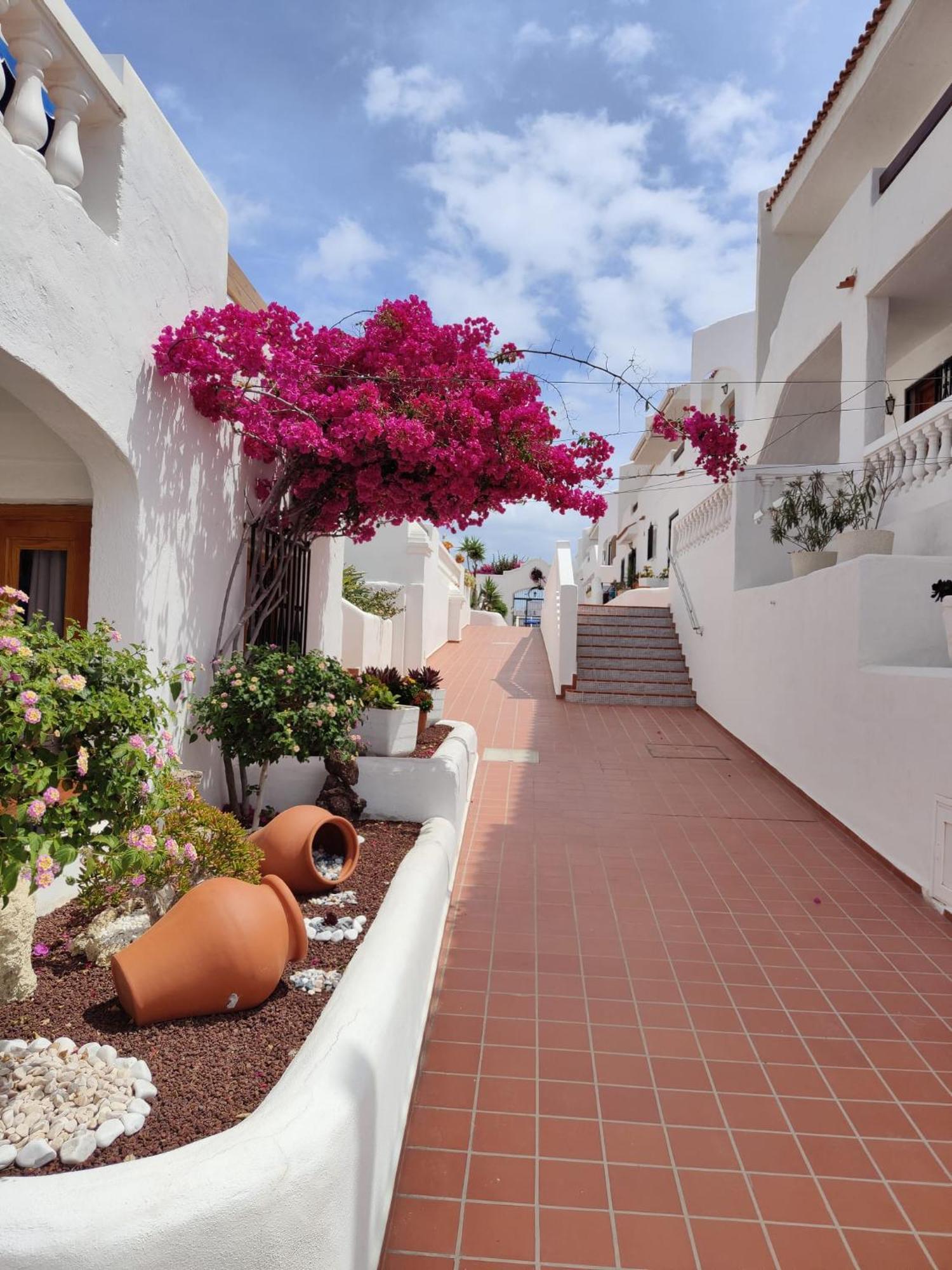 Port Royale Apartment Los Cristianos  Bagian luar foto